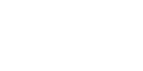 Shipwell White Logo